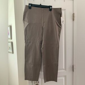Women’s plus sized pants. A New Day.